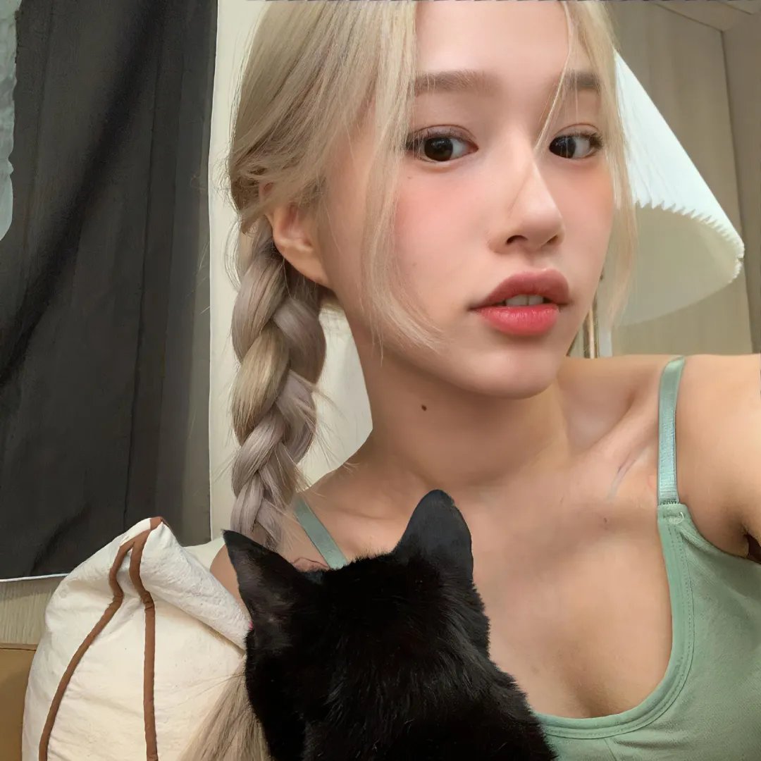 歌舞团的女人们